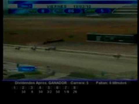 Resumen Viernes 19 de Febrero 2010 - Valencia