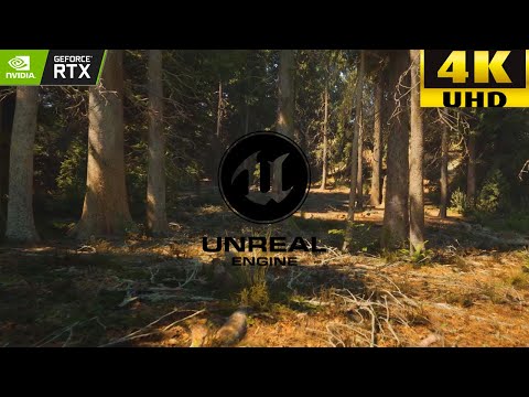 [4K] A walk in the forest - Unreal Engine 5 Reality Graphics on RTX 3090