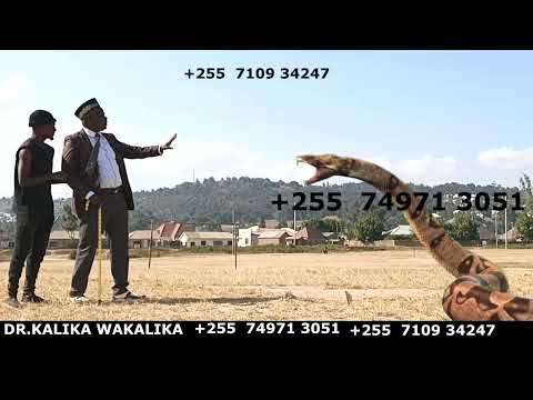 SHUHUDIA LIVE MAAJABU YA DR. KALIKA WAKALIKA KUONGEA NA NYOKA WAKUBWA