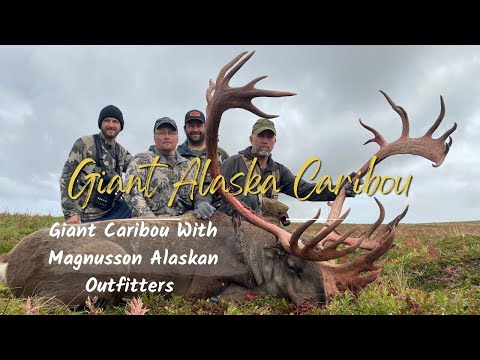 Land Of Giants! Hunting Giant Caribou in Alaska Part 1