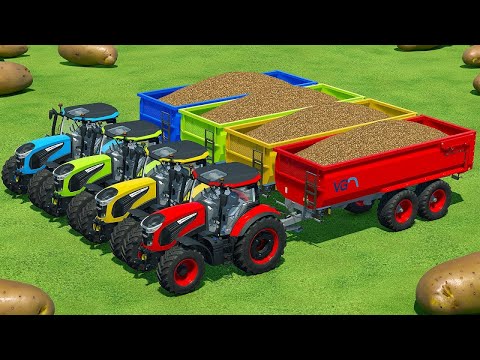 HARVESTING AND TRANSPORTING POTATOES WITH LANDINI TRACTORS - Farming Simulator 22
