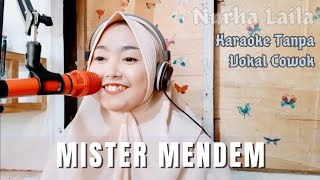 Download lagu Mister Mendem Karaoke tanpa vokal cowok, Nurha Laila mp3