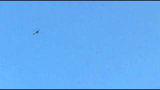 Endless Path Behind the Shed Blues (wild berry song) - Scott Garriott