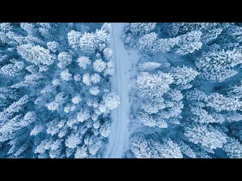 The Six Realms   I Think I Can Help You  1 Hour