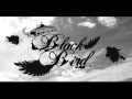 Blackbird (cover)