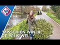 Kinderen maken kans op een Xbox door kerstbomen in te zamelen