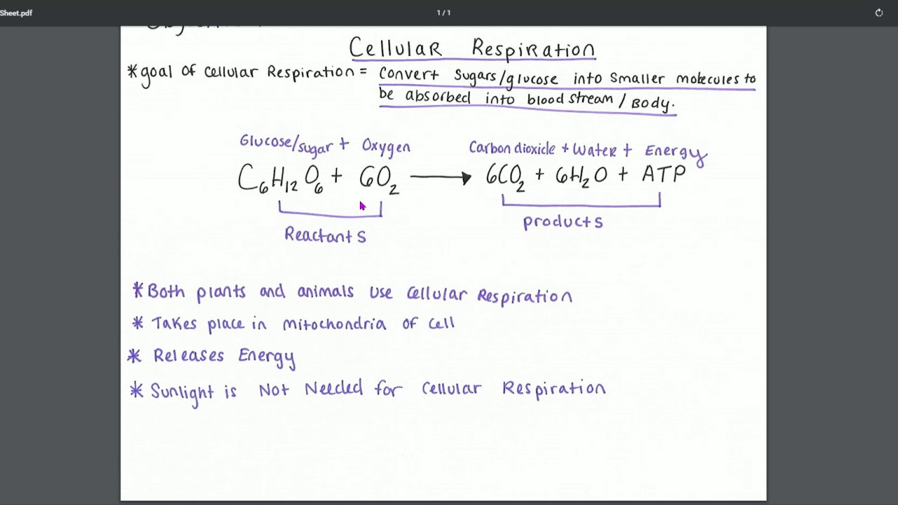 FA 9 Objective 2 Sheet.pdf