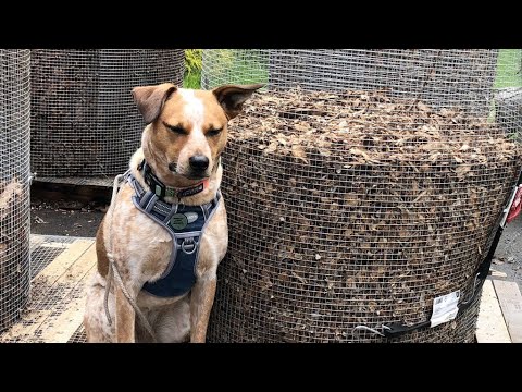 Thermophilic Compost Turning Again