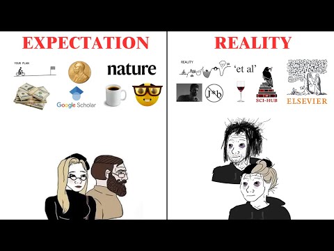 The Harsh Reality of doing a PHD