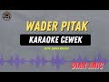 WADER PITAK KARAOKE RAMPAK CEWEK Dian Anic Tarling Lawas
