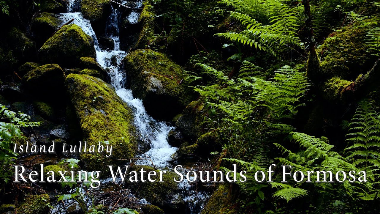 舒眠溪流聲 ASMR - 溼地河流環繞聲, 鄉間溪谷實地聲響, 粉紅噪音, 幫助睡眠延長深睡, 放鬆療癒, 冥想, 紓壓, 放鬆