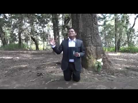 Cesar Gabriel Vásquez |Padre no me dejes (vol 01