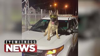 Download Lagu WTVO Eyewitness News for January 13th, 2022 (full broadcast) Thumbnail