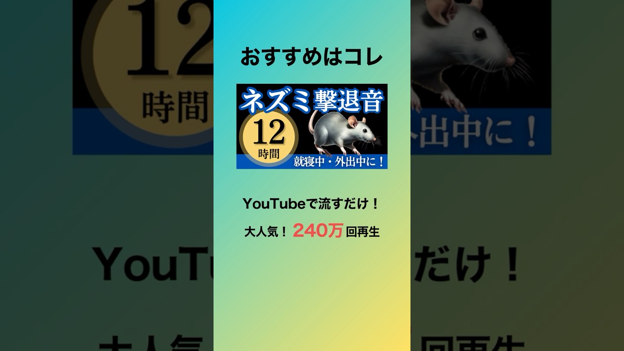 天井や壁から「カサカサ」と音が聞こえたら、ネズミ撃退音で対策を！
