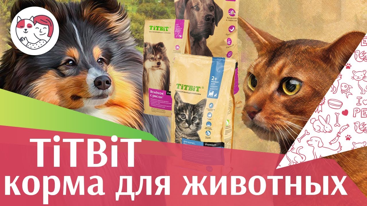 TiTBiT на ilikepet