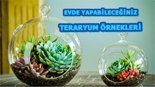 EVDE YAPABİLECEĞİNİZ EN GÜZEL TERARYUM ÖRNEKLERİ