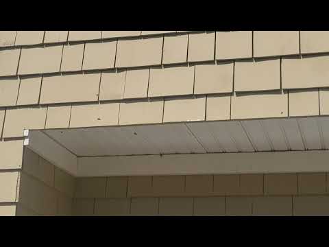 Yellow Jackets Swarming Above the Garage Door in Oceanport, NJ