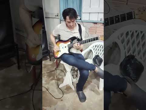 Mezaque da Guitarra Careiro Castanho Amazonas