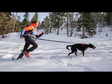 EVVO SNOWSHOE ORIGINALE MICHELIN