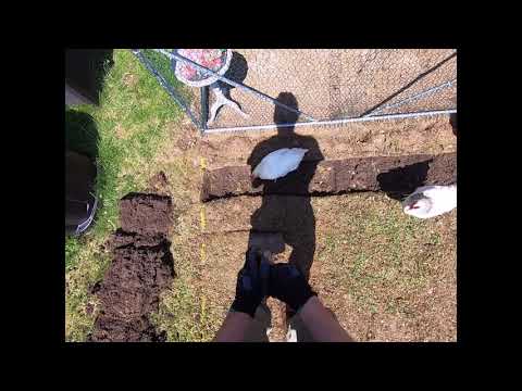 Part 1 - Greenhouse Leveling & Preparing the Ground