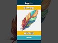 plumage - plumaje video thumbnail