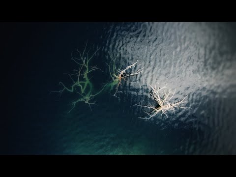 Pivsko Jezero l Crna Gora l Piva Lake l Montenegro l Trout fishing l