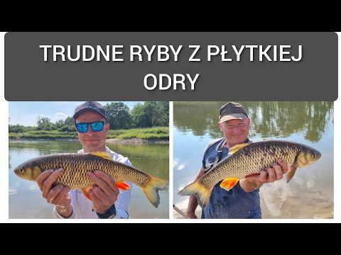 310 FEEDER Z GRABOWSKIM GRZEŚKIEM - TRUDNE RYBY Z PŁYTKIEJ ODRY