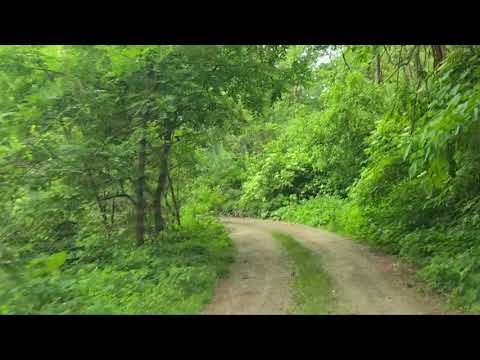 Rezervația Naturală Pădurea Neagră Rădulești Vrancea