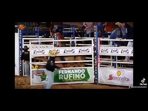 Victor Manuel Gomes X Vanguarda (Cia. Ortiz)