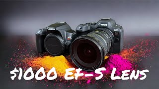 Expensive 9-Year Old Canon EF-S Lens on Canon R6 Mark II (Better than Expected)
