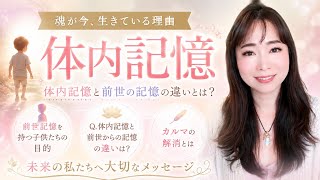 【体内記憶】子どもたちはなぜ覚えているのか?カルマの解消方法《宇宙の数秘―Universal Numerology―》