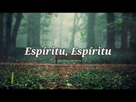 Virginia Brito - Yo Navegaré (letra)