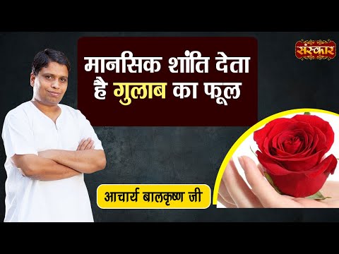 मानसिक शांति देता है गुलाब का फूल | Rose Flower Gives Peace of Mind | Acharya BalkrishnaJi Ke Nuskhe