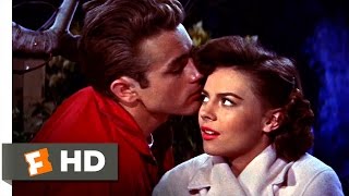 Rebel Without a Cause (1955) - Live It Up Scene (9/10) | Movieclips