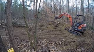 Clearing Trees and Stumps for Driveway With Kubota