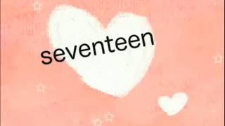 seventeen　歌ってみた　【夕陽真弥】