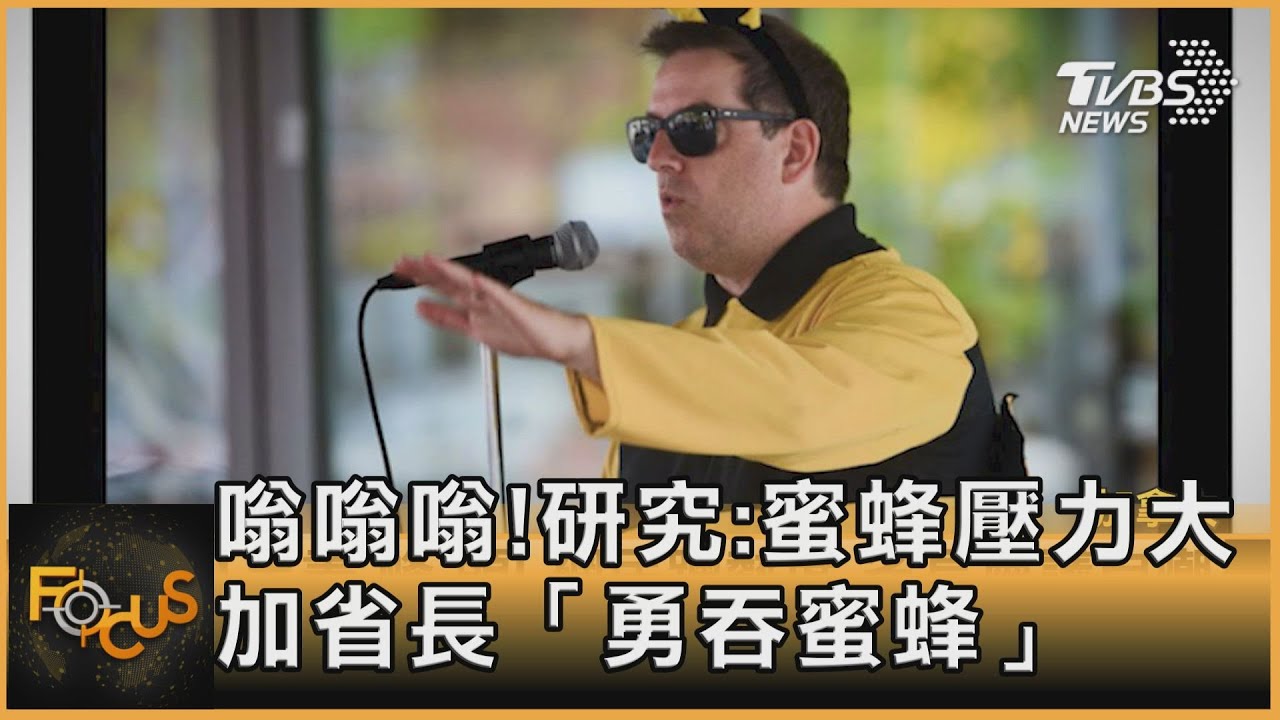 嗡嗡嗡!研究:蜜蜂壓力大 加拿大省長「勇吞蜜蜂」