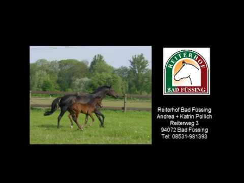 Dark Prinzess Forever 1. Auswärtstraining