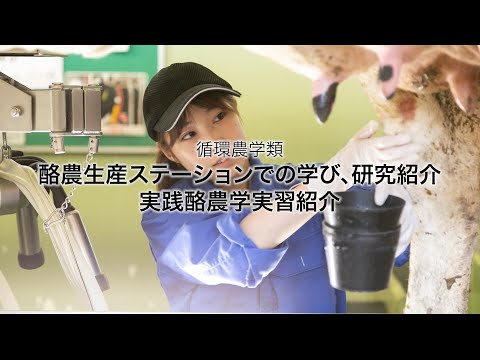 先端経営学科 酪農生産ステーションでの学び、研究紹介、実践酪農学実習紹介　｜　酪農学園大学　循環農学類　学類紹介
