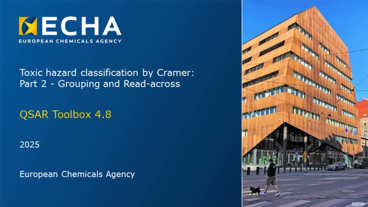 41: Cramer classification scheme Part 2