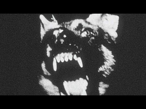 highshift - hxvrmxn (slowed reverb)