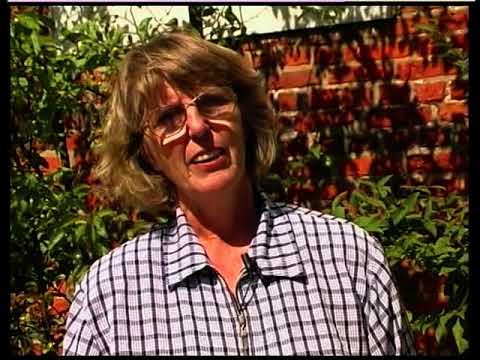 7 Sendung vom 23 05 2001