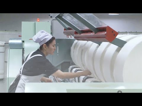 GLOBALink | Chinese scholars debunk \forced labor\ claims with own investigation