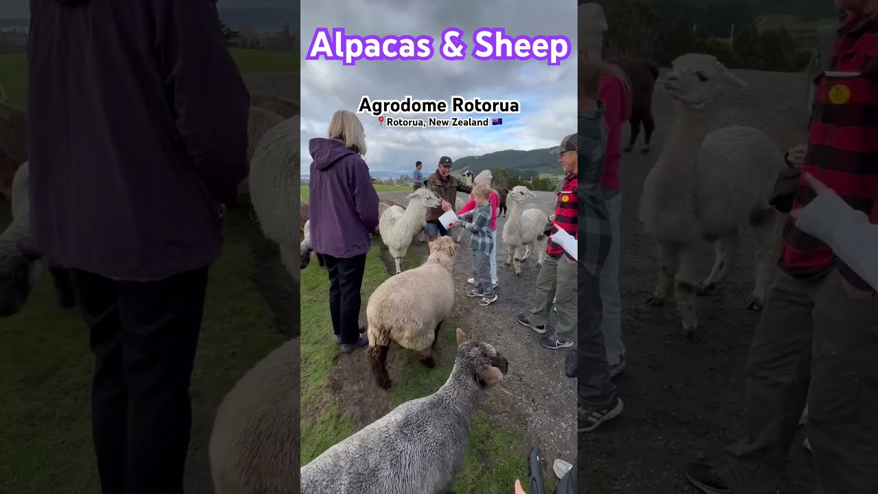 YouTube Short thumbnail