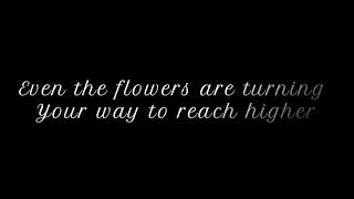 Revolutionary Love Sing my song/My Sunbright Lyric