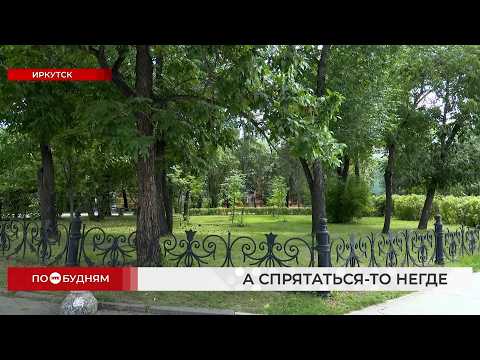 В Иркутске становится меньше мест, где можно спрятаться от солнца в жару