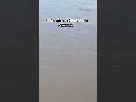Rio Araguaia Aruanã Goiás