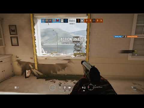 Russian badger plays