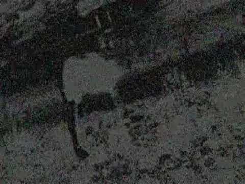 download lagu mp3 mp4 Viramune, download lagu Viramune gratis, unduh video klip Viramune