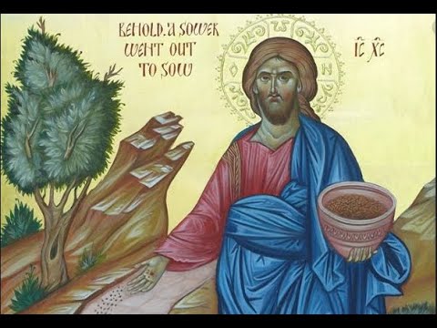 Kraljevstvo je Božje kao sjeme u zemlji(propovijed 12.06.2021.g.)